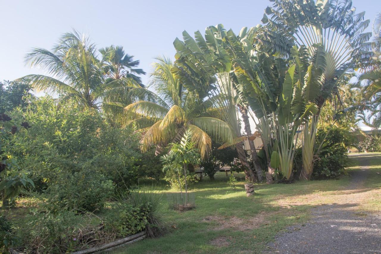 Gite Le Colibri Bungalow Azur Avec Reserve D'Eau Saint-Francois  Bagian luar foto