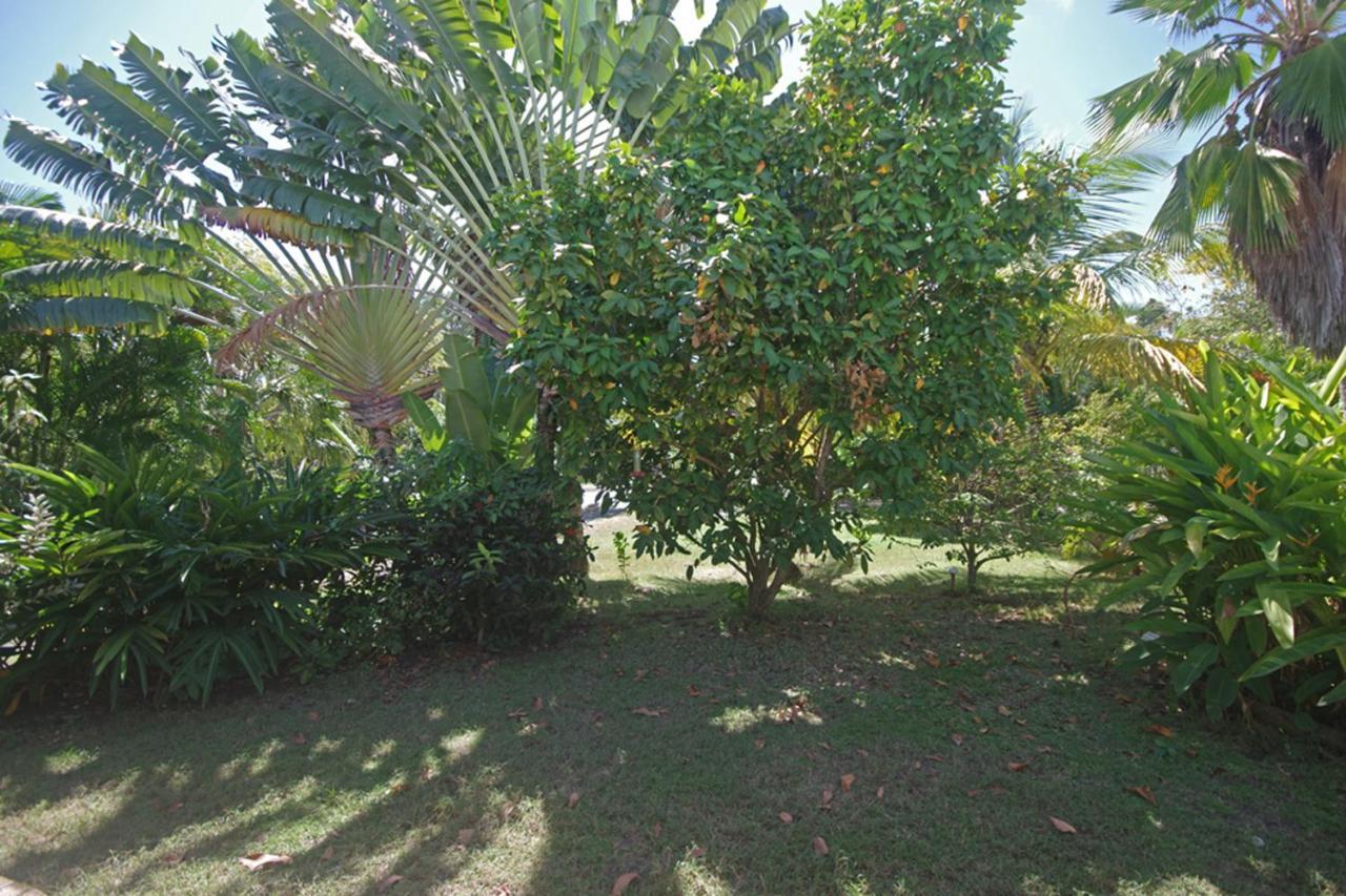Gite Le Colibri Bungalow Azur Avec Reserve D'Eau Saint-Francois  Bagian luar foto