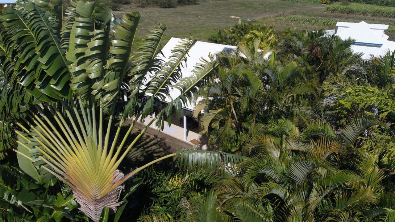 Gite Le Colibri Bungalow Azur Avec Reserve D'Eau Saint-Francois  Bagian luar foto