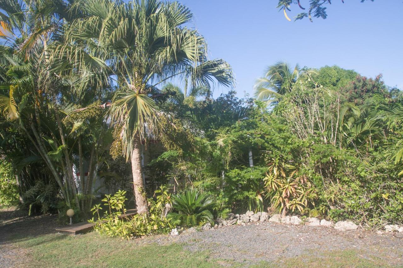 Gite Le Colibri Bungalow Azur Avec Reserve D'Eau Saint-Francois  Bagian luar foto
